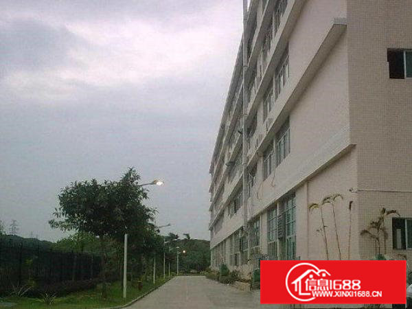 东坑楼上标准1500平方带办公室装修低价招租