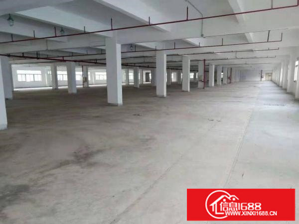 原房东横岗红本独院厂房招租单层4100平方大小分租