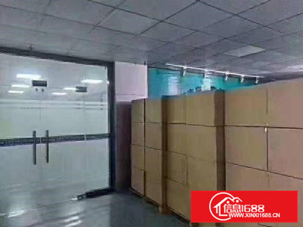 出租长安上沙新出楼上1200平豪华装修厂房红本厂房