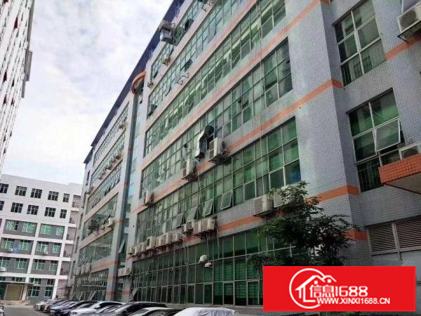 坂田带装修楼上1350平出租