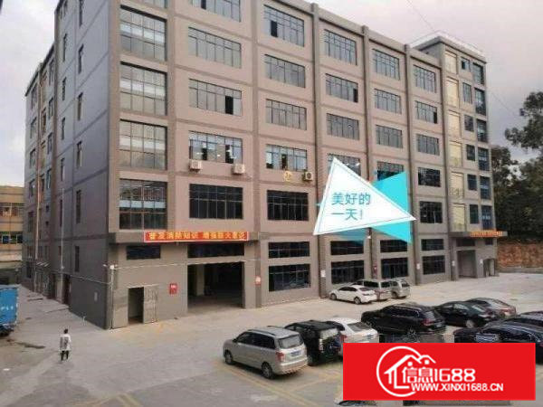 东莞大朗原房东可办环评17000平方厂房出租可以分租