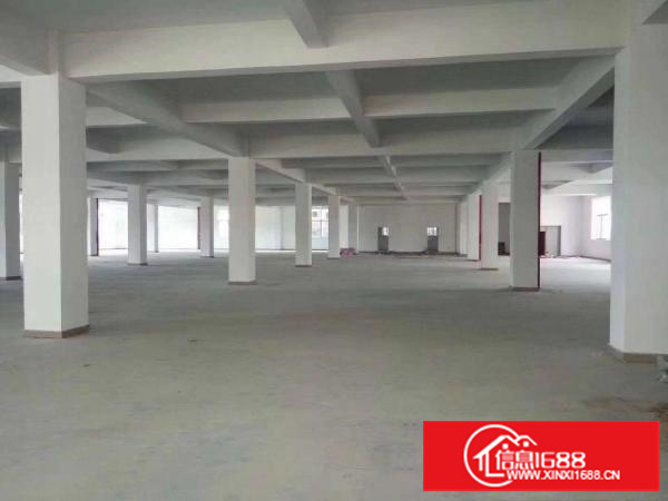 独门独院花园式厂房重磅来袭