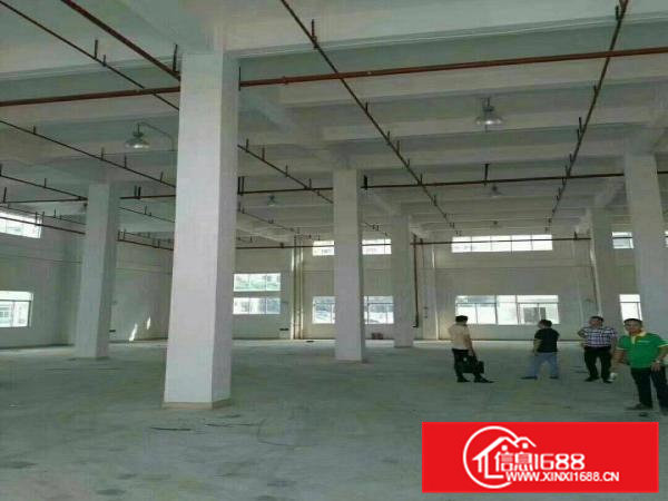 全新原房东独门独院厂房一楼7米可办环评离高速1公里