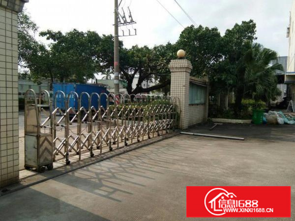 沥林泮沥村金达伟一楼标准厂房带装修700平招租