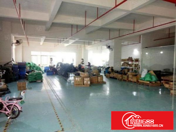 伦教新出1楼650方厂房，6米高，配电大，环评包过，租金便宜