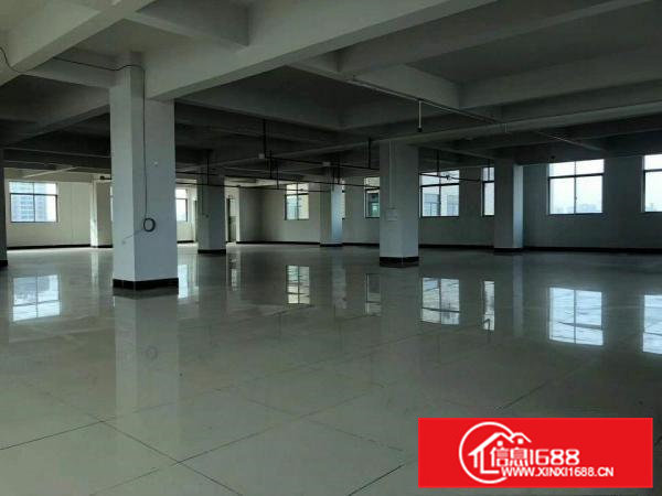 实图）每层600平，大朗石厦独栋厂房出租，带电梯，装修齐全