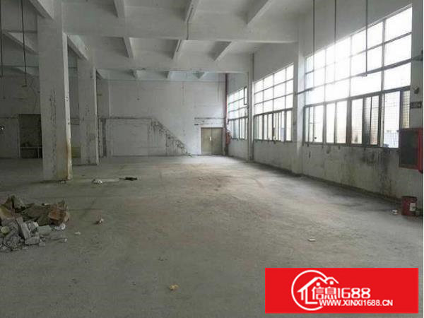 平湖新木村新标准厂房一楼920平带隔楼办公室装修