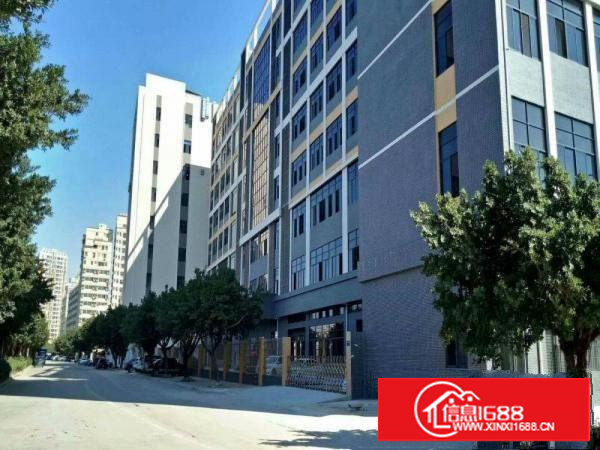 新出沙头南区整层1490平精装修楼上厂房