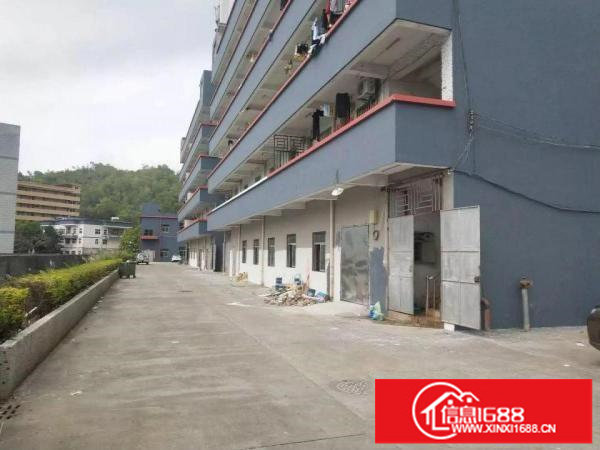 龙岗新出独院2800至3000平出租，深圳厂房出租