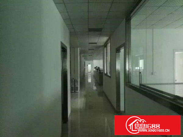 大浪新出700;900，1200平带装修厂房