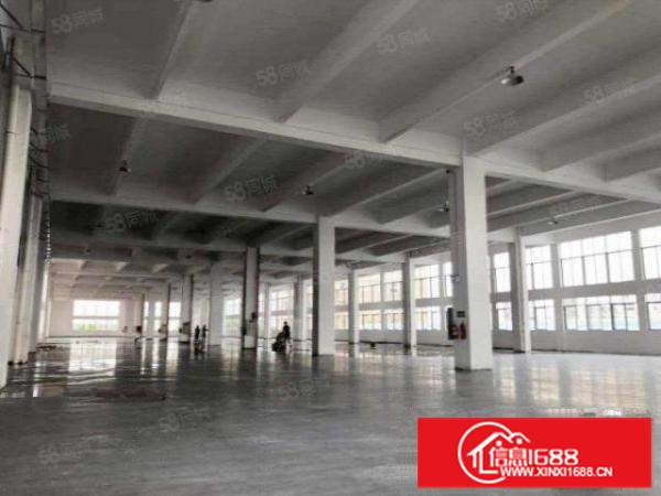 新建独栋带五吨电梯，乐从工业区15600方标准厂房环评秒过A