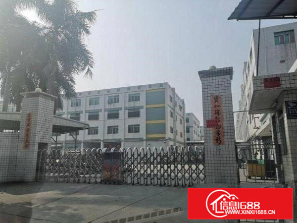 水边新出原房东楼上650平方带精装修招租