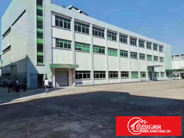 清溪靠近塘厦原房东独院厂房12000平方米无公摊形象好