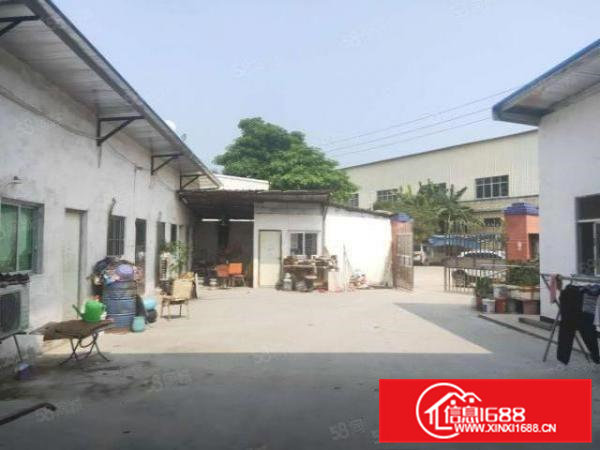 桥头镇新出原房东单一层钢构厂房1400平方，滴水7.5米