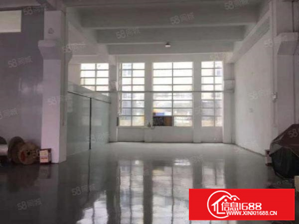 杏坛智富园标准一楼1500平方出租，可装行吊