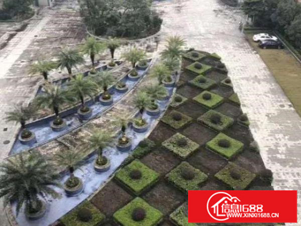 独门独院大栋物业招租可包租有停车位位置好交通方便