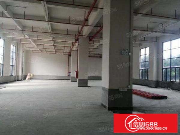 虎门临环莞快速新出全新新建厂房15层1万平独门独院出租