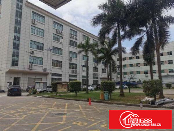 原房东厂房整层3000平方豪华装修。