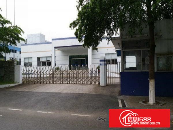 塘厦钢构独院22140平方滴水10米电量充足可分租