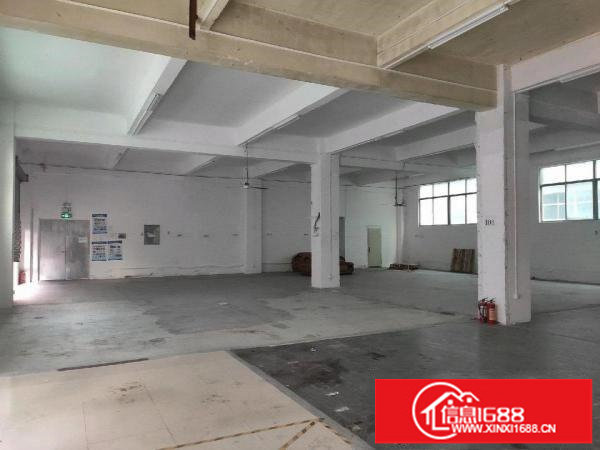 上雪科技园一楼新出独门独院厂房