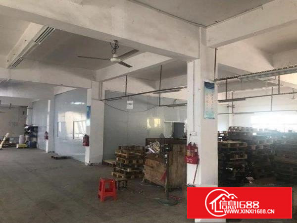 谢岗城区谢岗镇原房东独门独院厂房9600平米