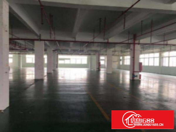 万江107国道边出租楼上二楼3000方有装修的厂房