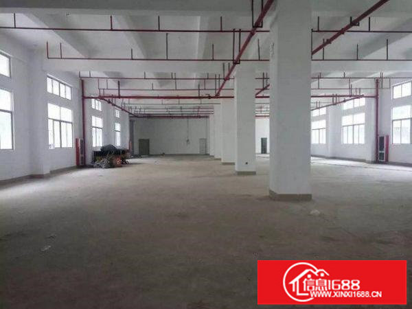 龙岗区坪地一楼标准厂房出租1000平米带行车，