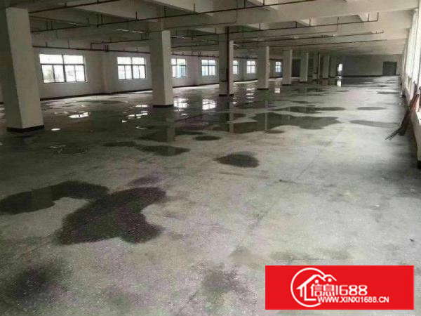 塘厦高速口原房东全新2250平方/层5层带消防电梯