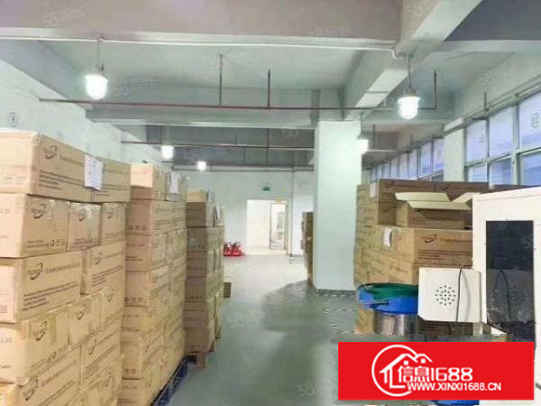 福永厂房出租厂房分租800平方工业园厂房找厂房出租原房东