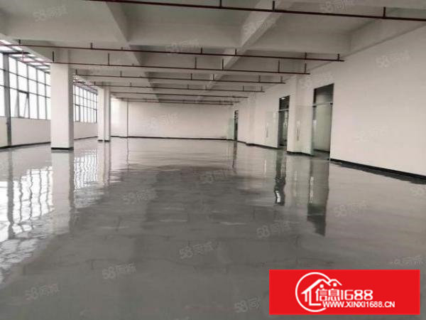 桥头新出原房东标准厂房1到3楼5000平方实际面积无公摊