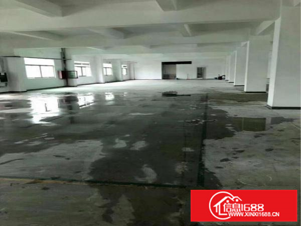 坂田工业园新出370平450平748平米出租可分租