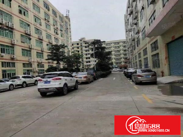 坪山沙湖带装修二楼厂房300平出租，13元