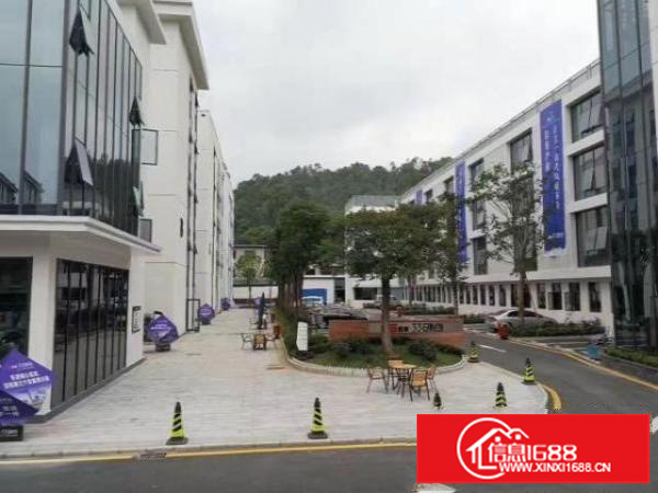 沙荷路边独院厂房，仓库招租！