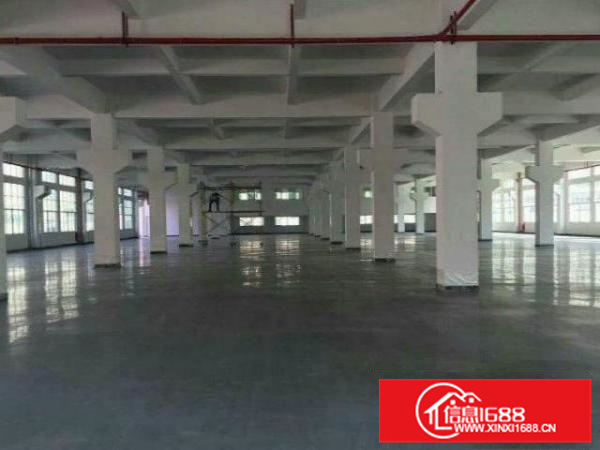 荷城尼教村出租1楼1200平厂房，带装修，水电齐全