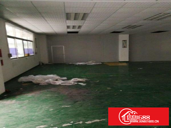 出租龙岗区龙岗嶂背300平1楼