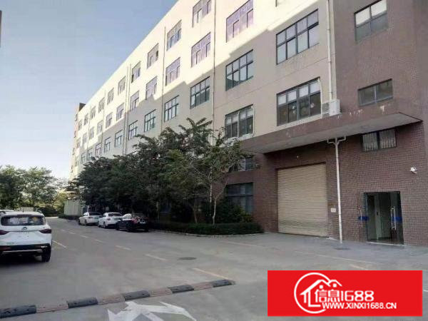 龙岗宝龙原房东大型工业园区厂房12500招租带红本