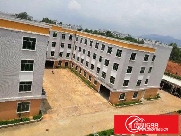 大朗镇蔡边大型工业园楼上1000平现成水电办公