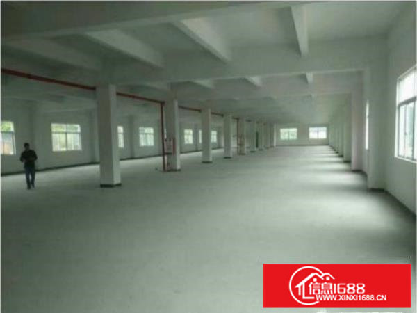 大岭山新出小独院厂房3800平方，超大空地现成货梯与办公室