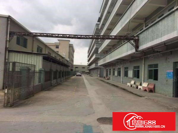 桥头镇原房东一楼厂房出租500平方，面积实在价格便宜水电齐全