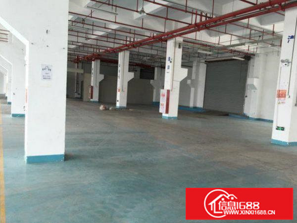 龙岗区华乐路工业区标准一楼厂房1300平方出租