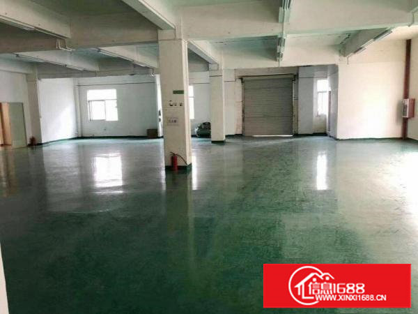 塘厦石鼓独院标准2楼380平方！地坪漆装修！小面积便宜租