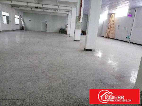 24小时专人管理带电梯整层出租