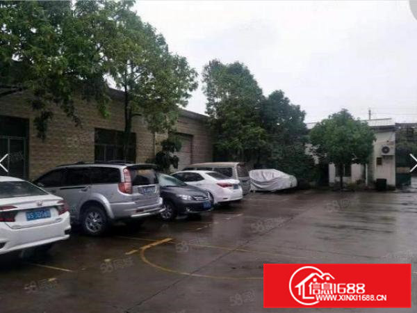 常平新出单一层钢构小厂房600平方招租，可做污染行业