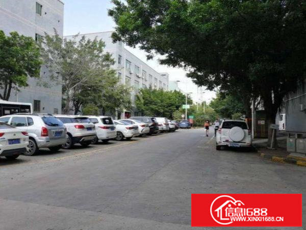 横岗大万工业区原房东厂房一楼500平方出租，8成使用率！