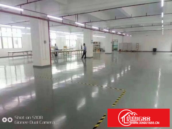 平湖辅城坳三楼750四楼1450平对外急租交通方便