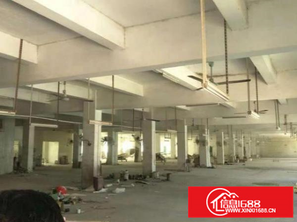 坪山坑梓龙田工业区一二楼厂房共1500平有电梯招租（可分租）