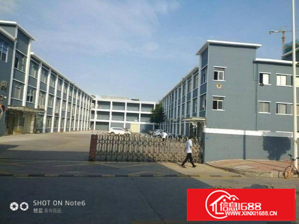 横岗全新5栋1一3层独院厂房14000平米厂房出租