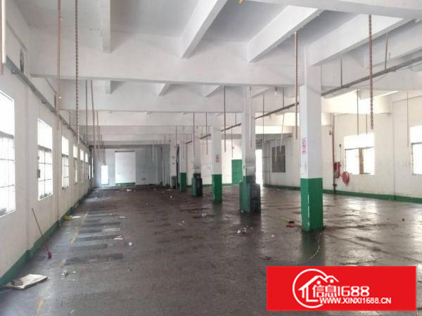 新空出来独院一楼1800平米带大空地1100平米业主直接出租