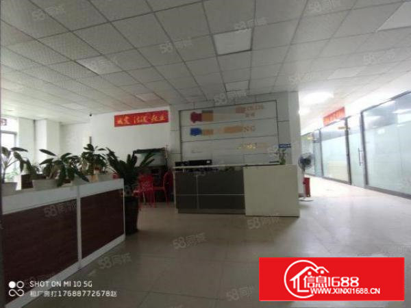 西乡厂房出租独院一手房东可分租