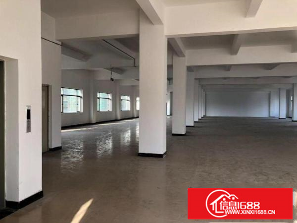 9000平方独院标准电梯厂房招租，电600KVA